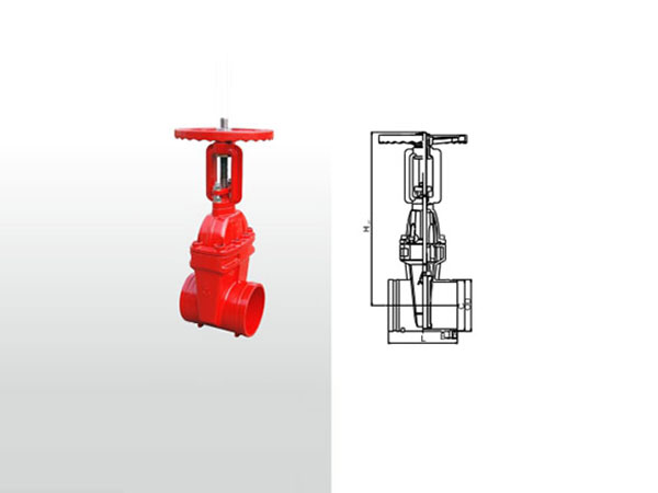埃美柯法蘭閘閥一旦出現漏氣，授之以漁！