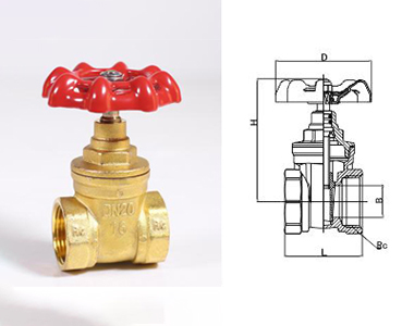 169 Z15W-16T 黃銅閘閥