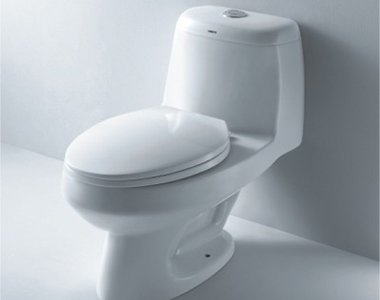 TL1005  連體座便器