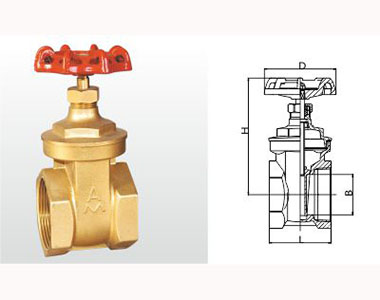 101 Z15W-16T 黃銅閘閥