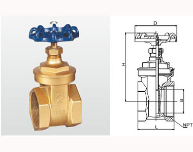 102 Z15W-16T 黃銅閘閥 (美制)